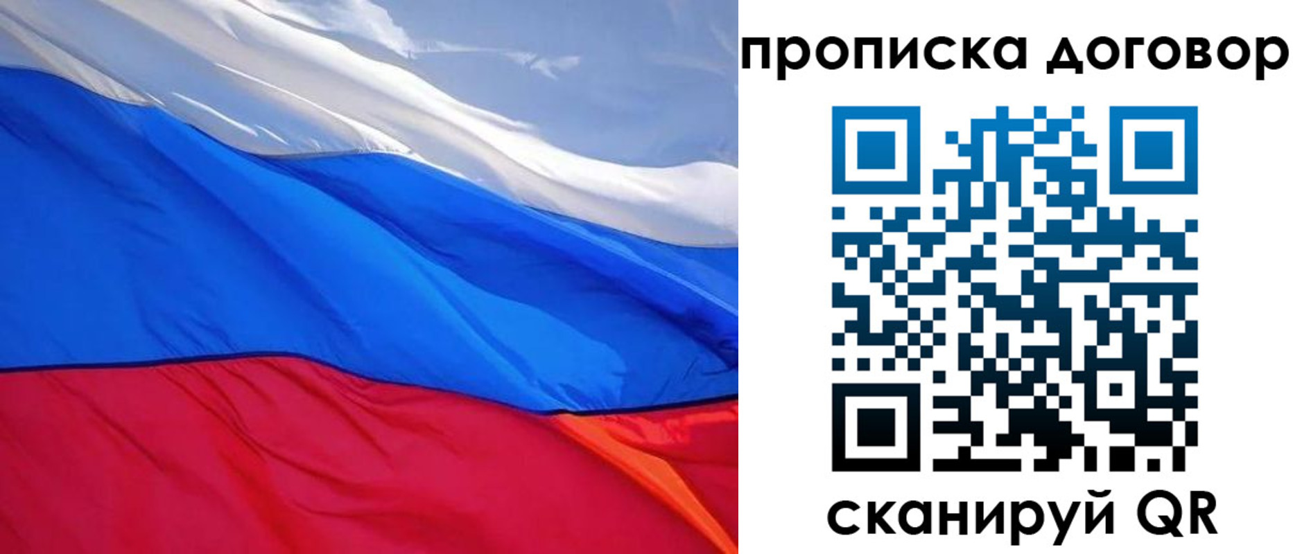 прописка гарантия в Ногинске